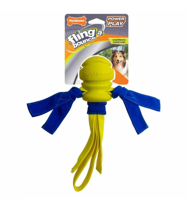 Nylabone Power Play Fling-a-Bounce Interactive Dog Toy