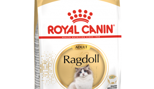 Royal canin ragdoll cat food top