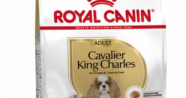 royal canin cavalier king charles spaniel