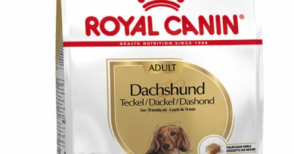 royal canin dachshund 1.5 kg