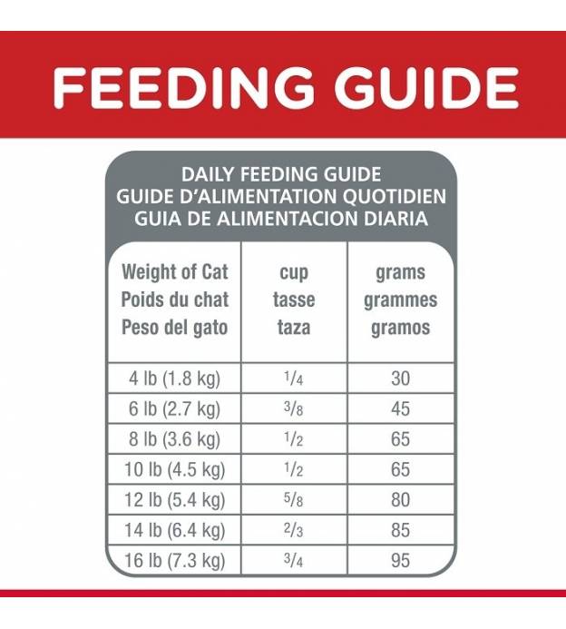 Dry Food