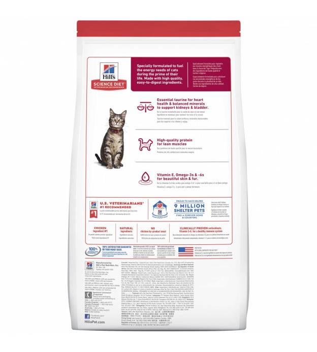 Dry Food
