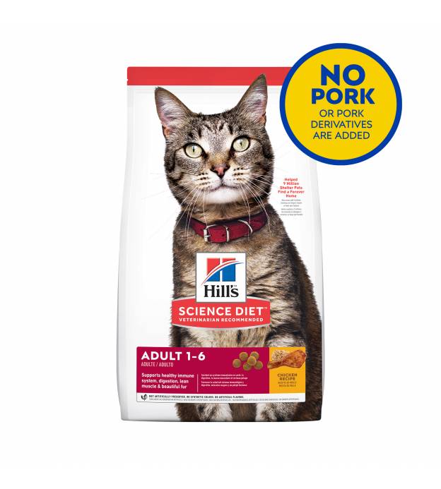 Dry Food