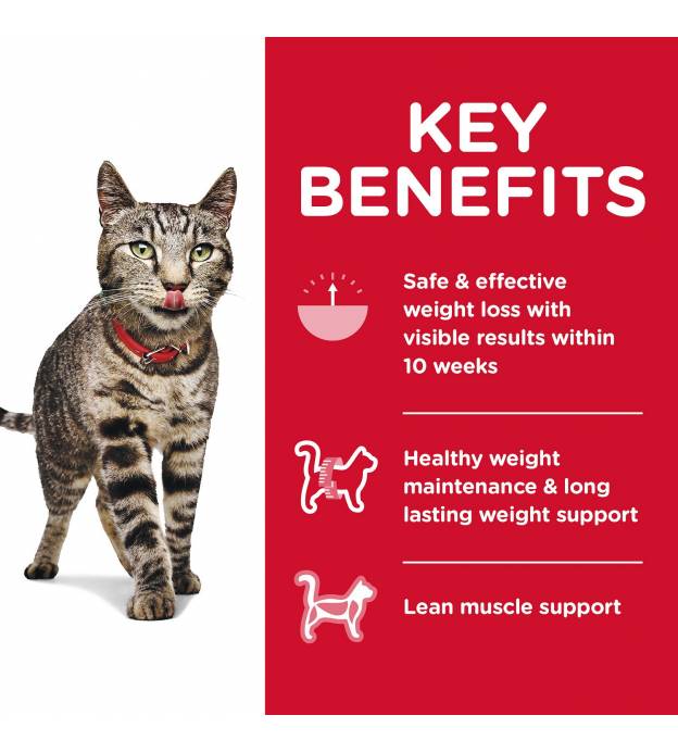 Dry Food