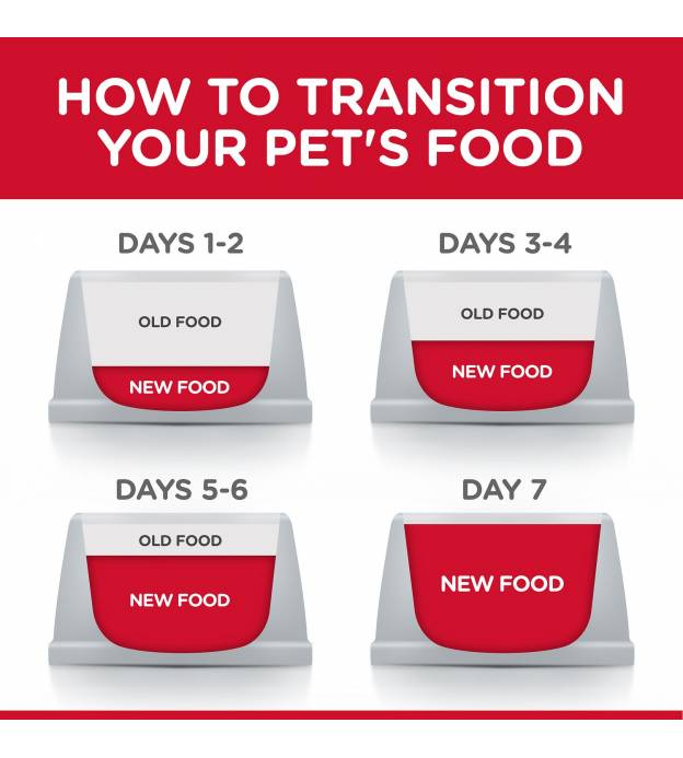 Dry Food