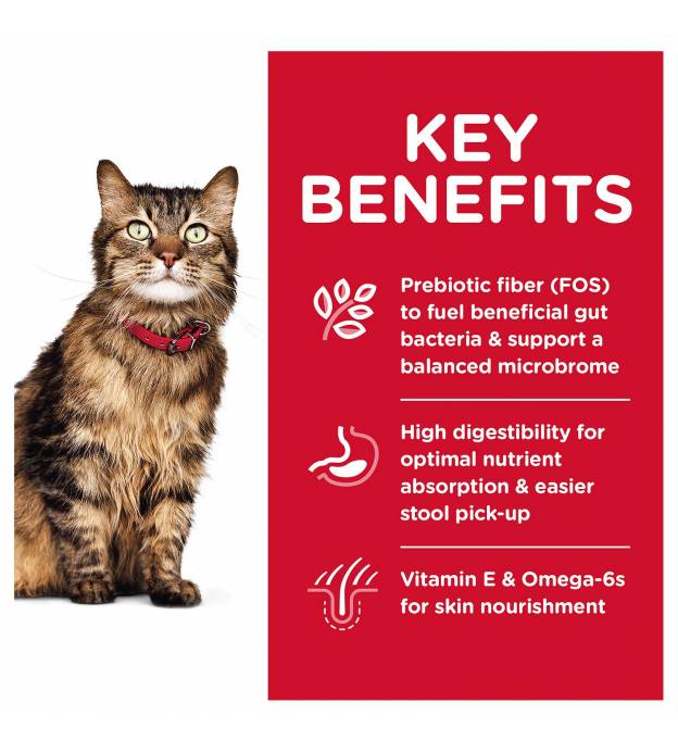 Dry Food