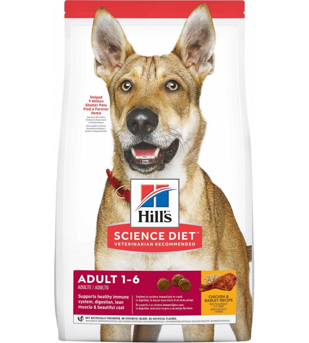 Science Diet Canine Adult