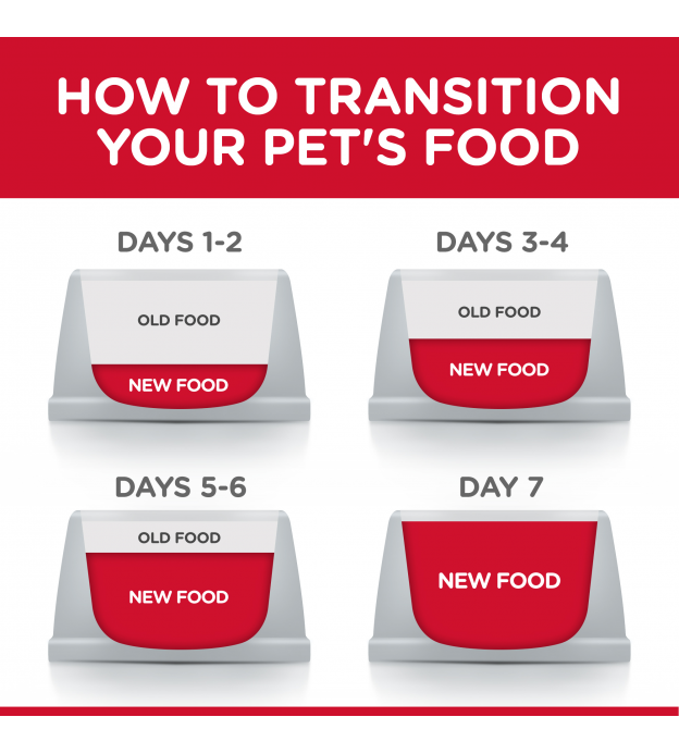 Dry Food