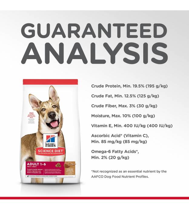 For Dogs