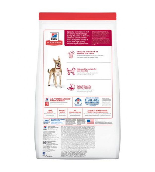 For Dogs