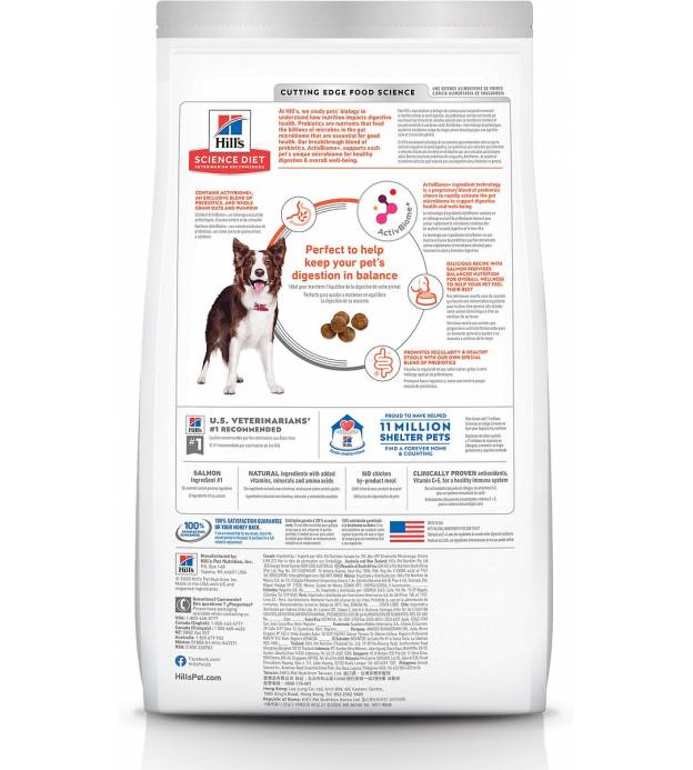 For Dogs