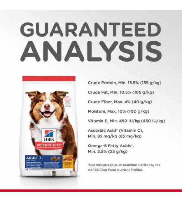 For Dogs
