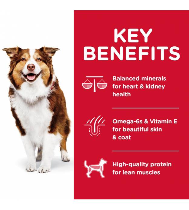 For Dogs