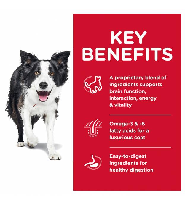 For Dogs
