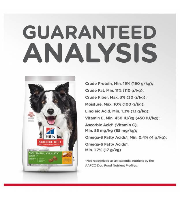 For Dogs