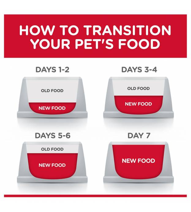 For Dogs