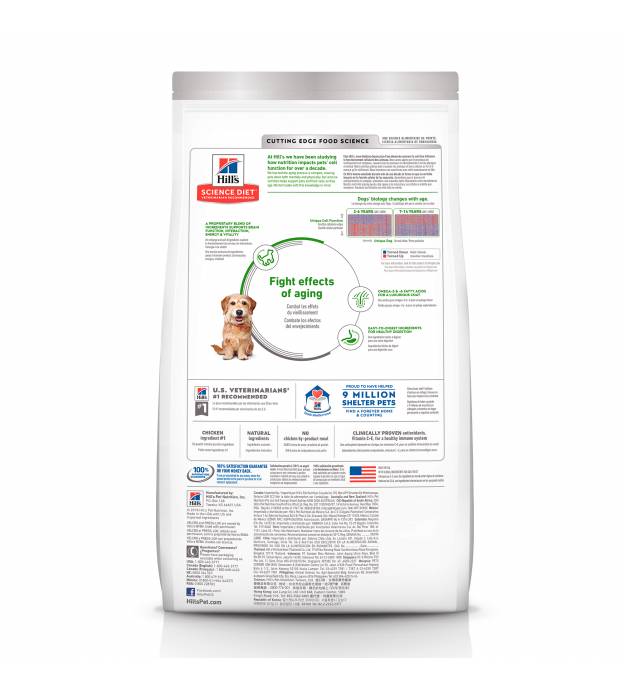 For Dogs