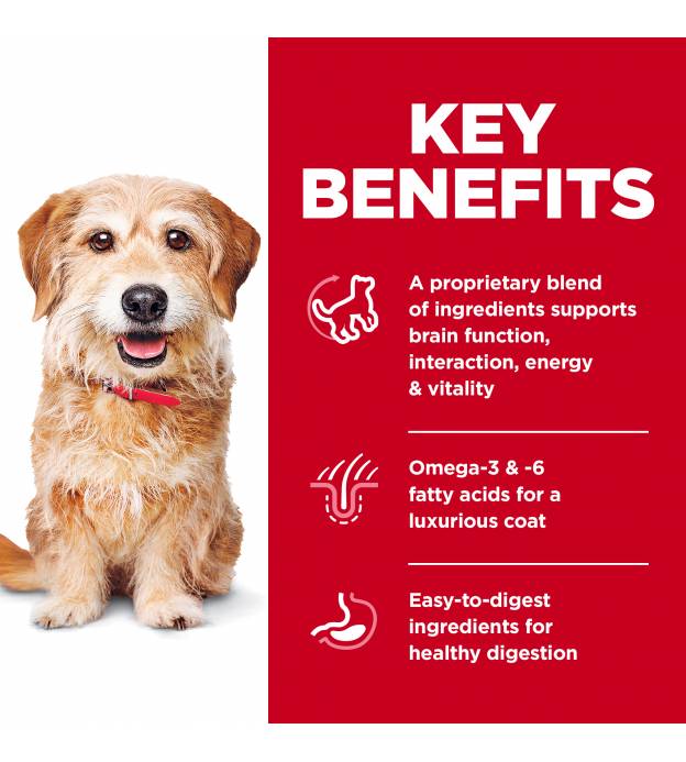 For Dogs
