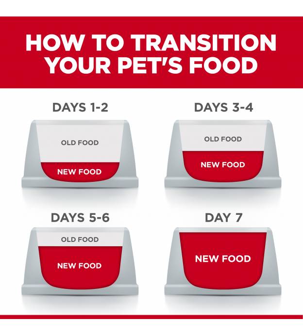 For Dogs